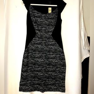 Never worn Ann Taylor knit dress with tags